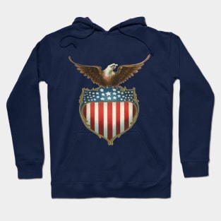 Vintage Eagle with American Flag Hoodie